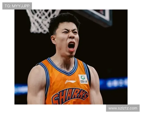 CBA新星阵容：张镇麟领衔的国内二阵明星